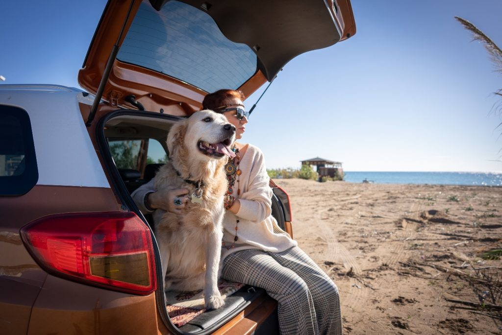 Travelling with pets in your car: A British pet owner's guide to road tripping adventure